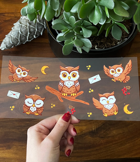 [ Doppelseitig ] 500 ml Trinkglas mit Deckel und Strohhalm | Eule