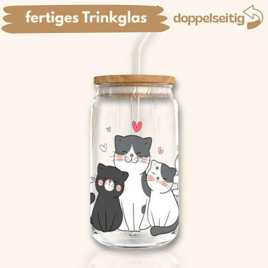 [ Doppelseitig ] 500 ml Trinkglas mit Deckel und Strohhalm | Meow Love