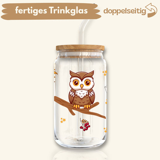 [ Doppelseitig ] 500 ml Trinkglas mit Deckel und Strohhalm | Eule