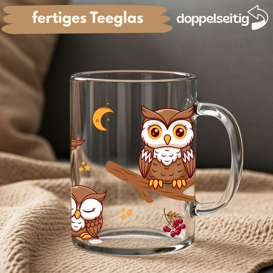 [ Doppelseitig ] 450 ml Teeglas mit Griff / Henkel | Eule
